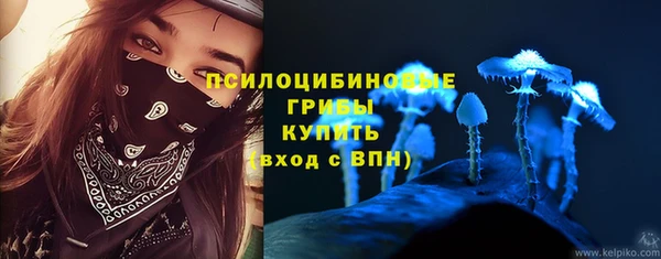дживик Аркадак