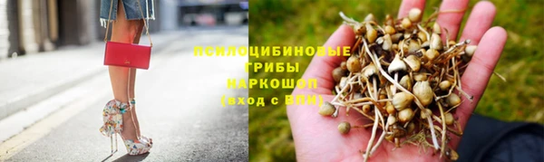дживик Аркадак