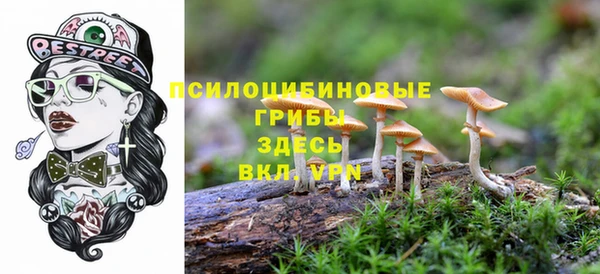 мдпв Арсеньев