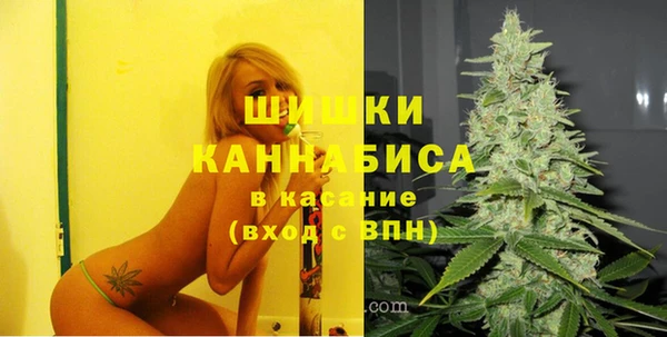 дживик Аркадак