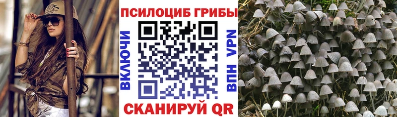 Галлюциногенные грибы GOLDEN TEACHER  это формула  Юрьев-Польский 
